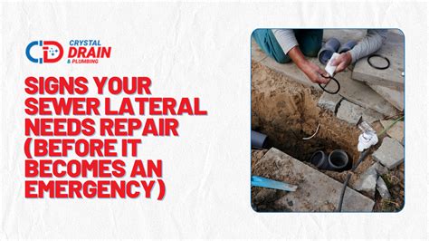 Warning Signs of Sewer Lateral Damage Chicago