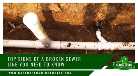 Warning Signs of Sewer Line Damage Phoenix