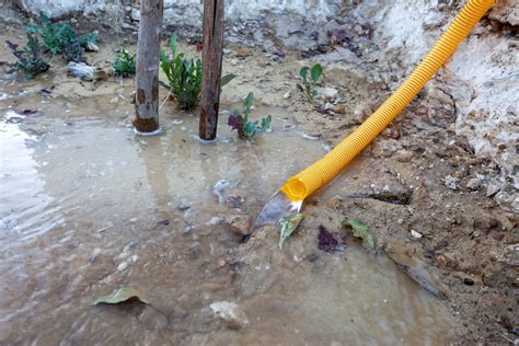 Warning signs of drainage pipe problems