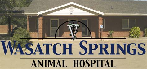 Discover Expert Veterinary Care at Wasatch Springs Animal Hospital - Leading Pet Health Services in Utah