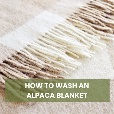 Washing an Alpaca Blanket
