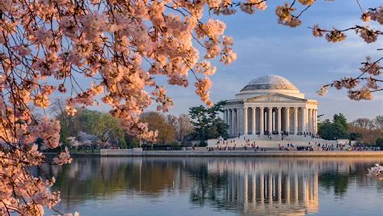 Washington, D.c.&#039;s Famous Cherry Blossoms Burst Into Peak Bloom On Sunday, Drawing Both Veterans And Newcomers To The Springtime Event To Take In The Natural Beauty Of The Nation&#039;s Capital., 2024