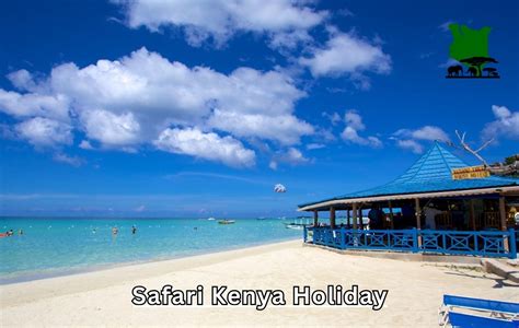 Watamu Blue Safari