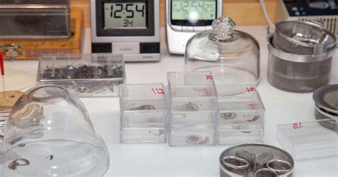 Watch Repair Durham NC Expertise