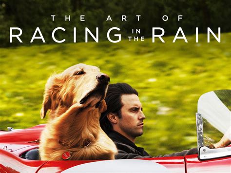 Experience the Heart-Racing Thrills of 'The Art of Racing In The Rain' - A Must-Watch Film for Pet Lovers!