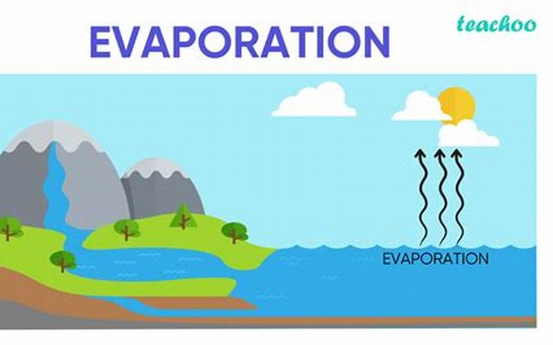 Water Evaporation