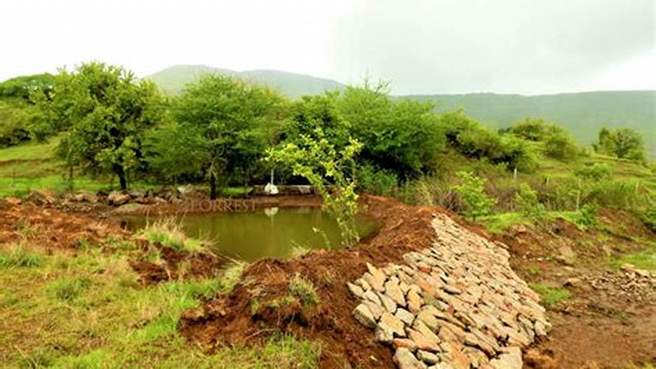 Water Filtration, Reforestation