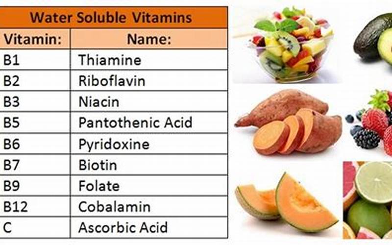 Water Soluble Vitamins B and C