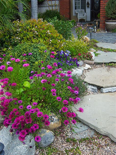 Attractive water wise front lawn with drought tolerant plants rocks