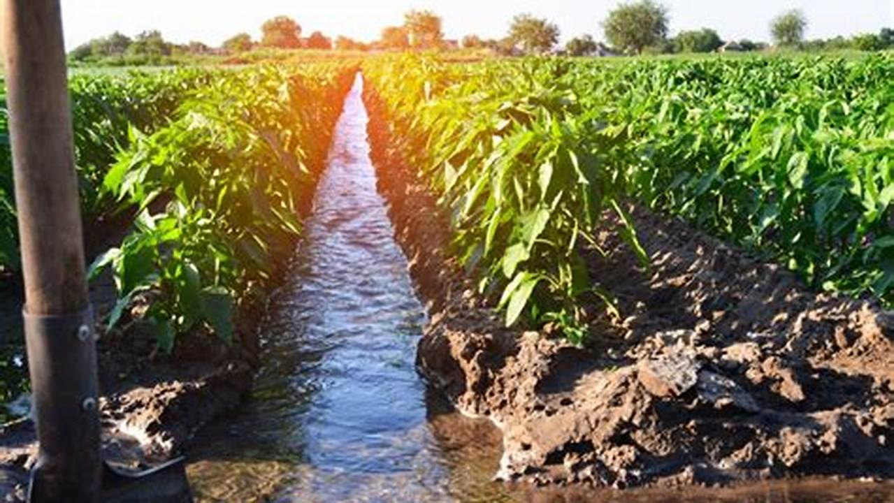 Water Pollution, Farming Practices