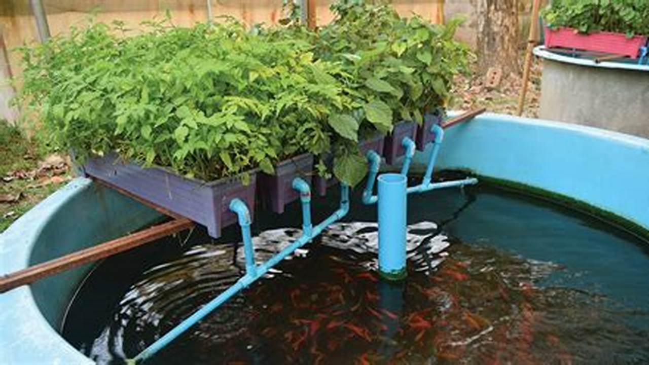 Water Quality, DIY Farm