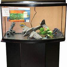 Water Changes for Fish Tank and Stand Combo