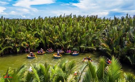 Water Coconut Forest
