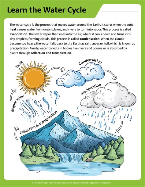 Water Cycle Worksheet Place