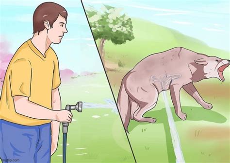 Water Hose Dog Meme