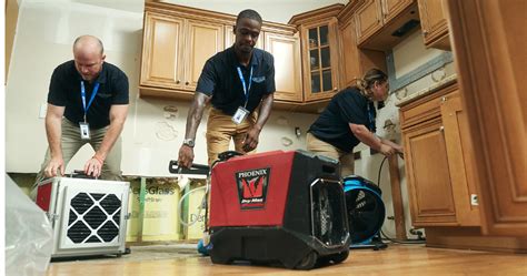 Water damage repair technicians