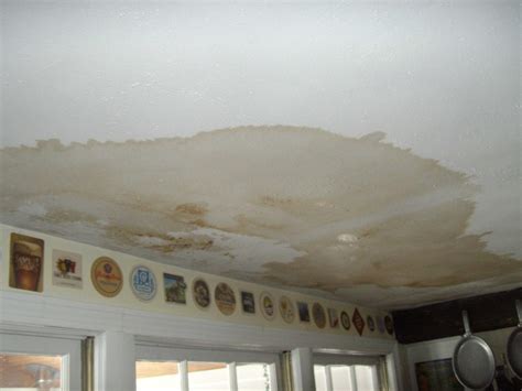 Water damage stains on ceiling