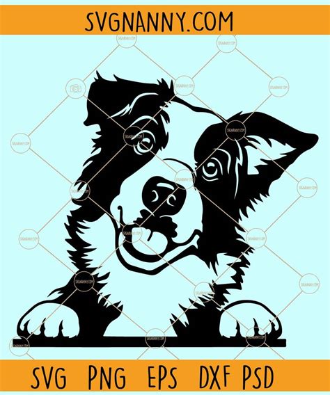 Download Watercolor Border Collie SVG File - SVG Design Commercial Use Free PSD Mockups