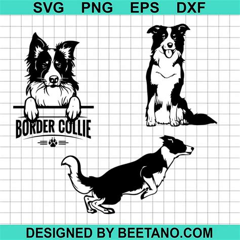 Download Watercolor Border Collie SVG File - SVG Design Cricut SVG Free PSD Mockups