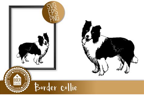 Download Watercolor Border Collie SVG File - SVG Design Cut Files