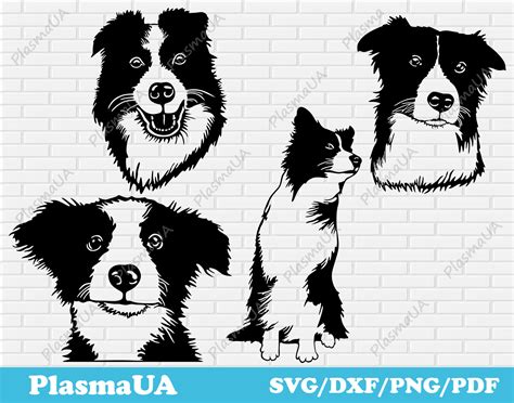 Download Watercolor Border Collie SVG File - SVG Design Files