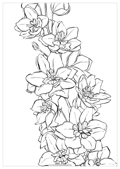 Watercolor Coloring Pages