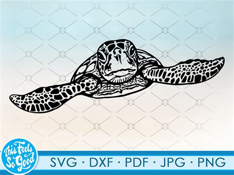 Download Watercolor Turtle SVG File - SVG Design Cricut SVG DXF Files