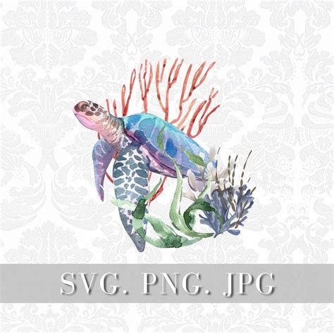 Download Watercolor Turtle SVG File - SVG Design Easy Edite