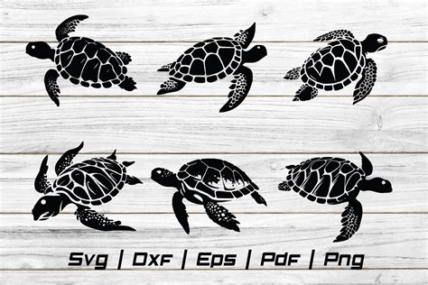 Download Watercolor Turtle SVG File - SVG Design Silhouette DXF Files