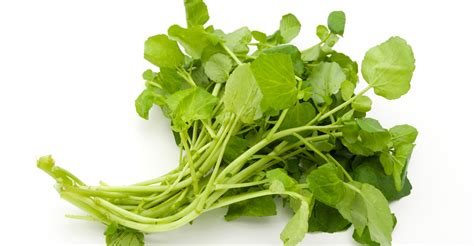watercress