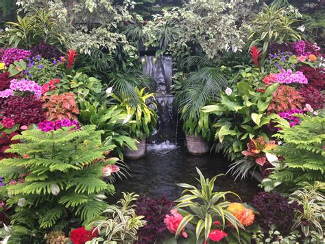 Waterfall Botanical Garden Landscape