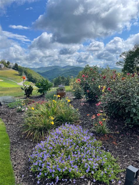 Waterfall Glenn Events 2024