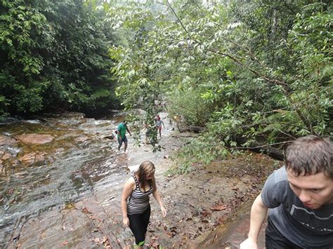 Waterfall Trekking adventure