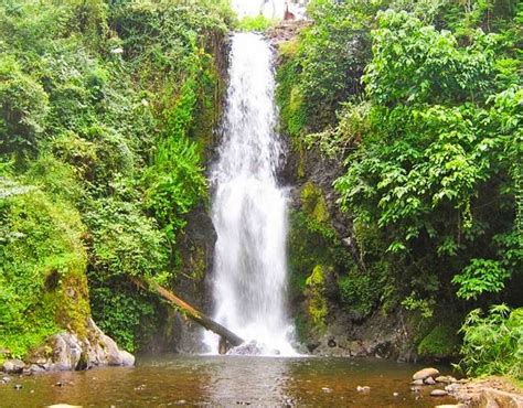 Waterfalls in Area Adventure