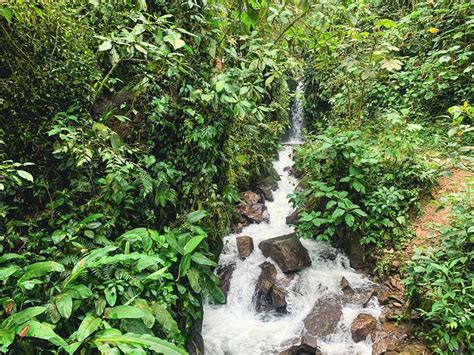 Waterfalls of Mindo