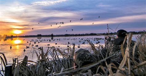 Waterfowl Hunting