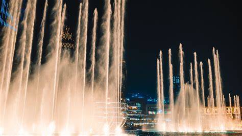 Waterfront Wonders
