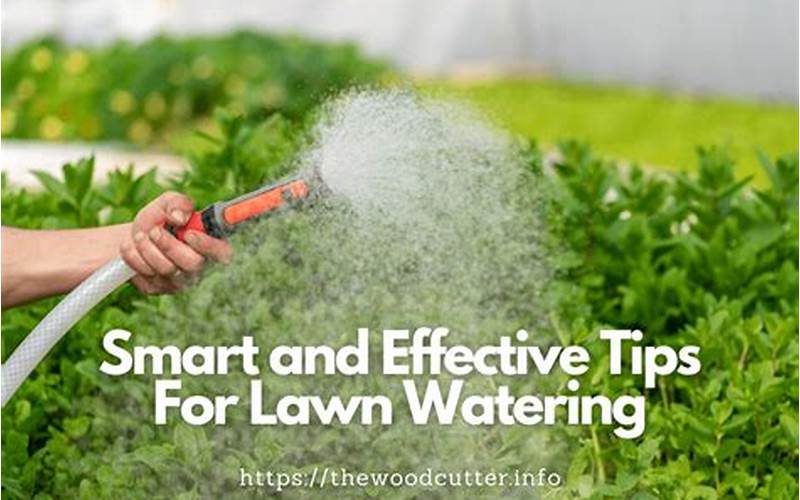 Watering Tips For Pa