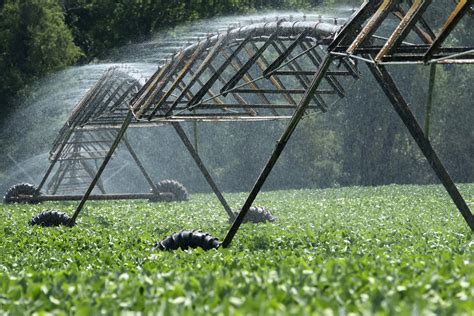 Inefficient irrigation systems may cost producers as much as 100 per