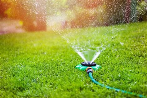 Watering Lawn Care