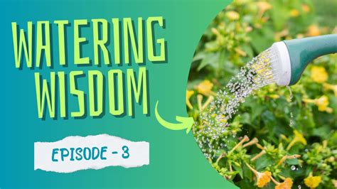 Watering Wisdom: The Key to Deep Green Color