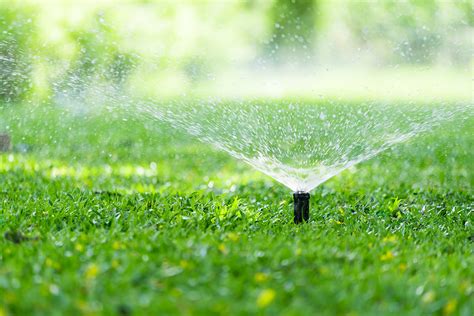 Watering Your Lawn in South Jersey