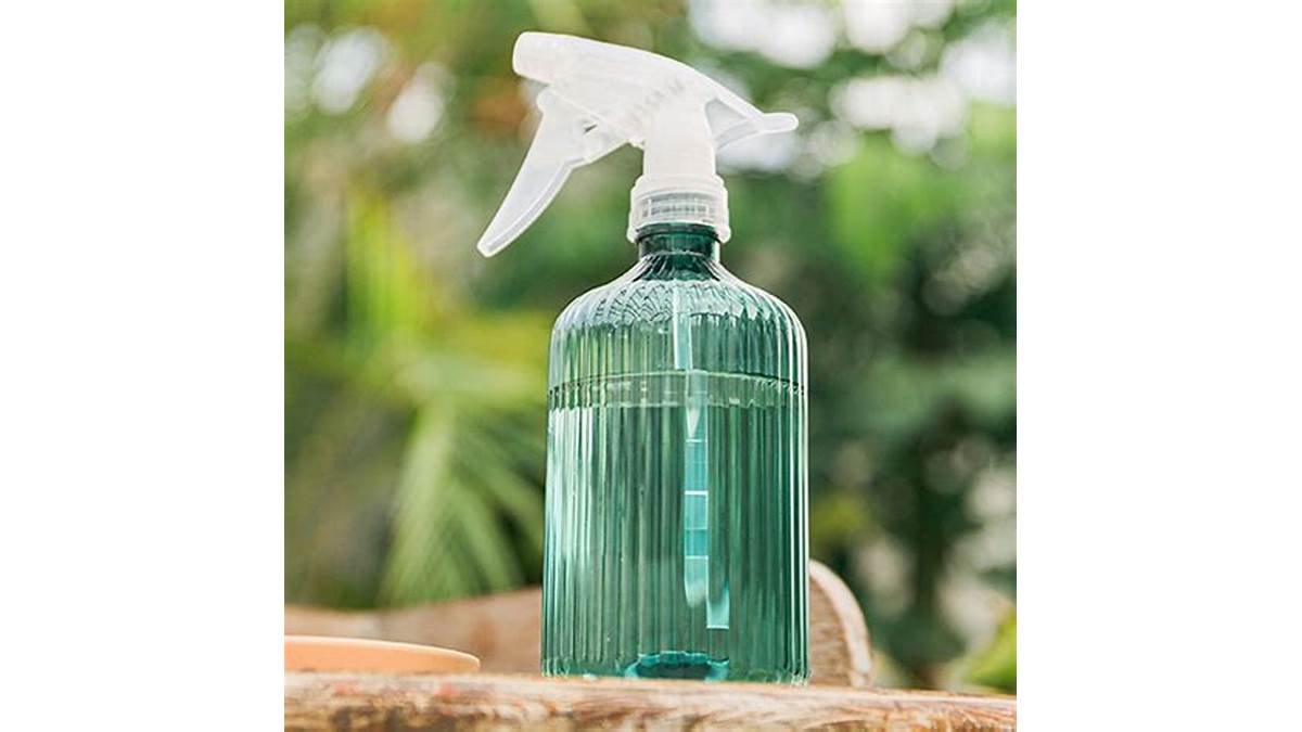 Watering plants with a spray bottle