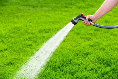 Watering the lawn in summertime