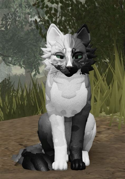 Wcue Roblox Morph Ideas