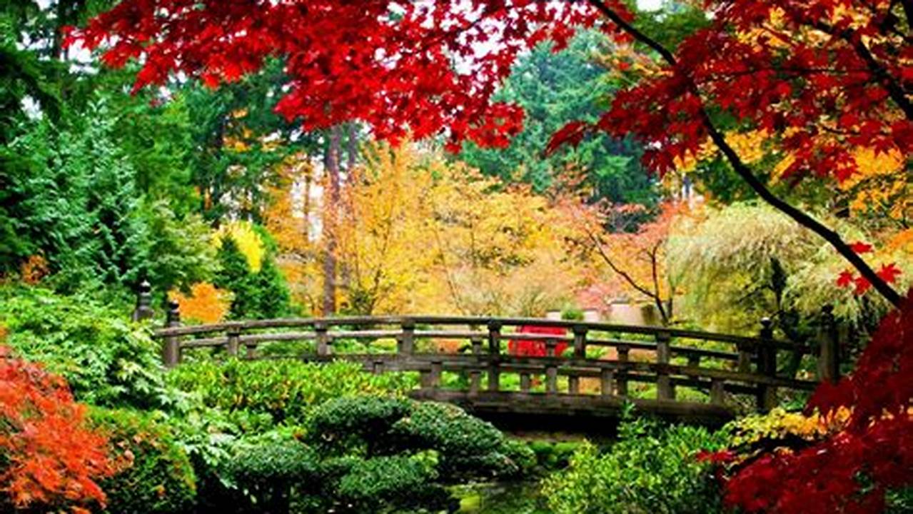 We Have An Extensive Collection Of Amazing Background Images., Images