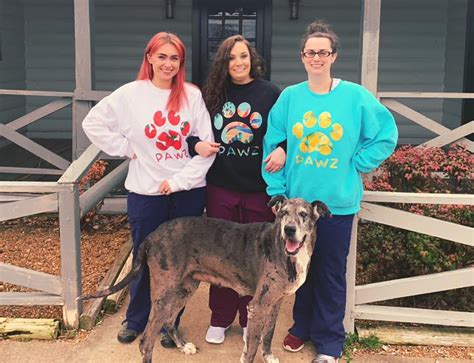 Exceptional Pet Care Services at Weakley County Animal Clinic - Leading Veterinary Clinic in Tennessee