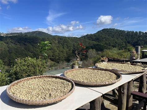 Weasel Coffee Farm