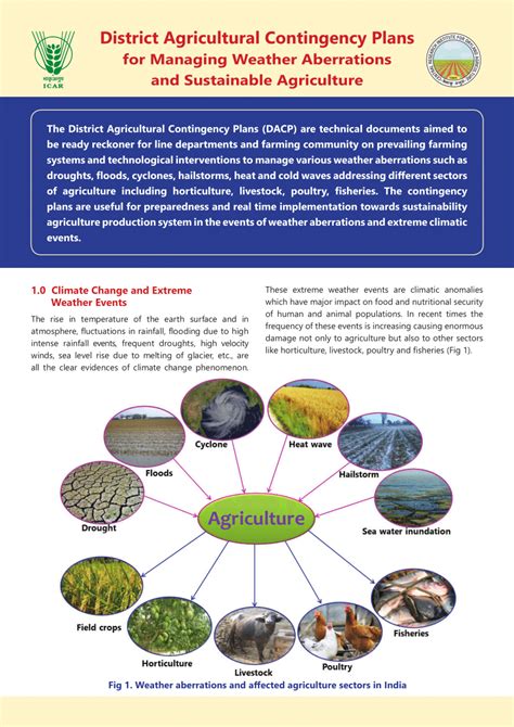 Weather Contingency Plans