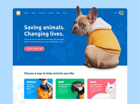 Web Design For Pet-Related Websites